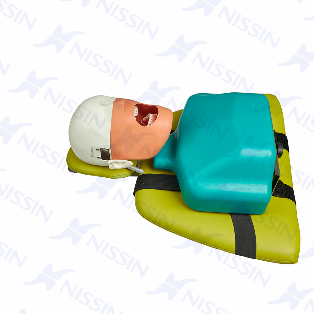 牙椅固定式高級(jí)仿頭模（高級(jí)版）