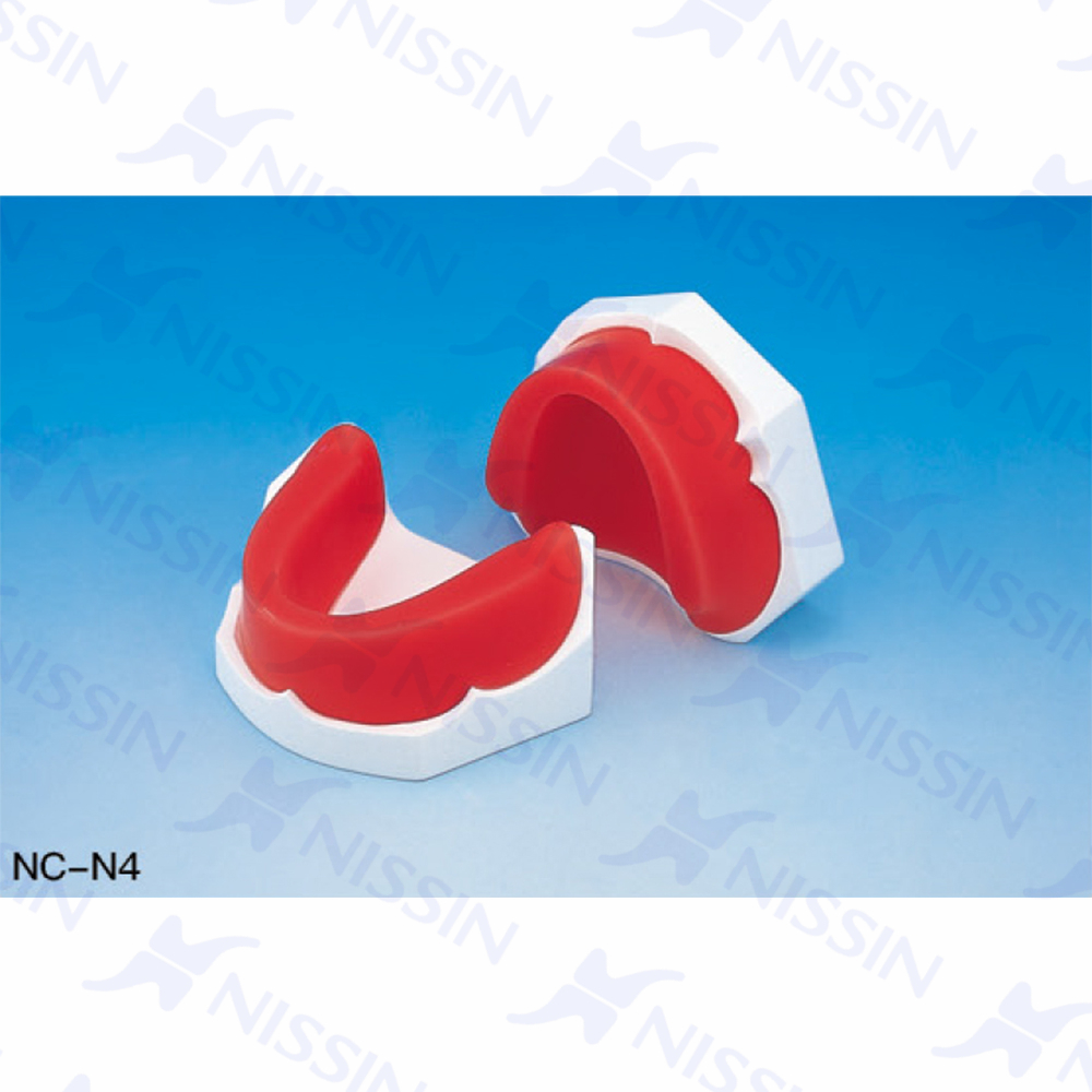 無牙頜標準蠟堤